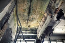 Best Air Quality Testing for Mold Spores  in Pierre Part, LA